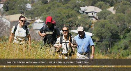 Alpine View Apartments - Accommodation Coffs Harbour 3