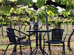 De Vine Escape - Accommodation Coffs Harbour 2