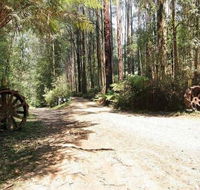 Hill n Dale Farm Cottages - Accommodation Coffs Harbour