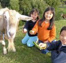 Johanna River Farm and Cottages - Accommodation Coffs Harbour
