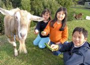 Johanna River Farm And Cottages - Accommodation Coffs Harbour 0