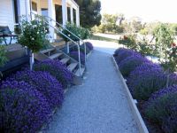 Canadian Lodge - Accommodation Coffs Harbour 3