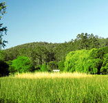 Waterholes Guest House - Accommodation Coffs Harbour