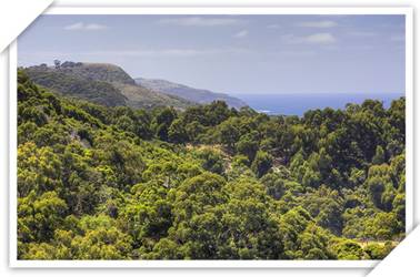 Chris's Beacon Point Restaurant And Villas - Accommodation Coffs Harbour 3