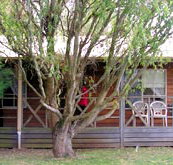 BIG4 Ballarat Windmill Holiday Park - Accommodation Coffs Harbour