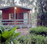 A Maze N Things Holiday Park - Accommodation Coffs Harbour