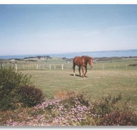 First Class Bed and Breakfast - Accommodation Coffs Harbour