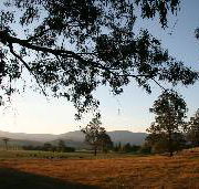Cann River Rainforest Caravan Park - Accommodation Coffs Harbour