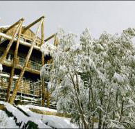 Silverski - Accommodation Coffs Harbour