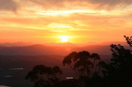 Avocado Sunset - Accommodation Coffs Harbour
