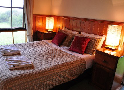 Apollo Bay Colonial Cottages - Accommodation Coffs Harbour 1
