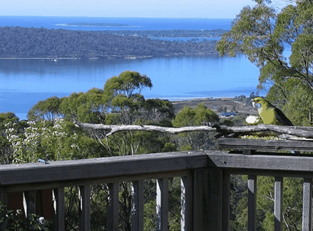 Bed in the Treetops - Accommodation Coffs Harbour