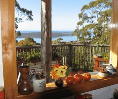 Bed In The Treetops - Accommodation Coffs Harbour 1