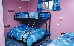 Homelea Accommodation Apartments - Accommodation Coffs Harbour