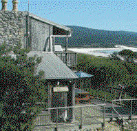 Aurora beach cottage - Accommodation Coffs Harbour
