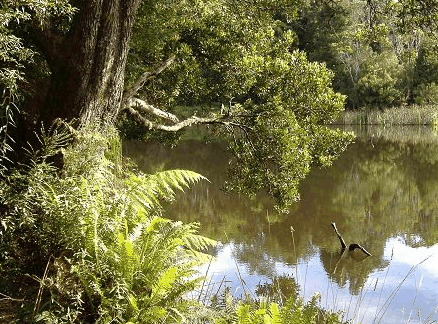 Weldborough Hotel - Accommodation Coffs Harbour