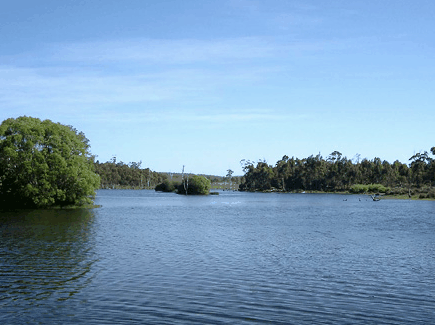 Currawong Lakes - Accommodation Coffs Harbour