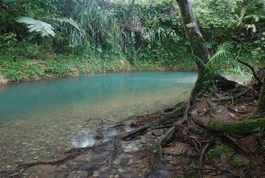 Heritage Lodge And Spa - Accommodation Coffs Harbour