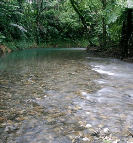 Heritage Lodge And Spa - Accommodation Coffs Harbour 1