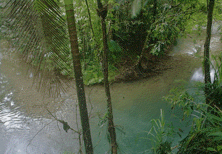 Heritage Lodge And Spa - Accommodation Coffs Harbour 3