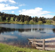 Glenlynn Cottages - Accommodation Coffs Harbour