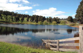 Glenlynn Cottages - Accommodation Coffs Harbour 0