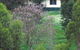 Glenlynn Cottages - thumb 1