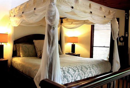 Escarpment - Accommodation Coffs Harbour 2