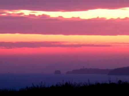 Anglesea Overboard Seaside Cottage - Accommodation Coffs Harbour 4