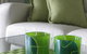 Canberra Furnished Accommodation - thumb 3