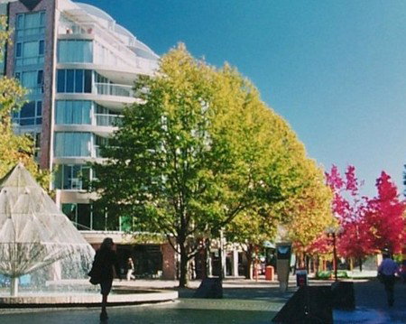 Canberra Wide Apartments - City Plaza - Accommodation Coffs Harbour 2