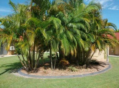 Yamba Motor Inn - Accommodation Coffs Harbour 5