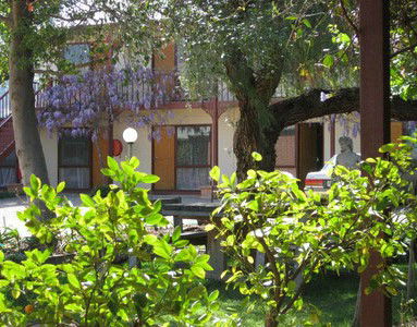 Central Motor Inn Wentworth - Accommodation Coffs Harbour 2