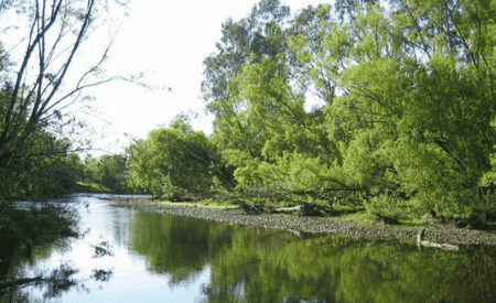 Ribbonwood Cottages - Accommodation Coffs Harbour