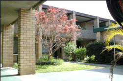 Amg Ryde Sydney - Accommodation Coffs Harbour