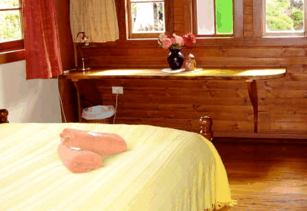 Nimbin Holiday Accommodation & Guest House - Accommodation Coffs Harbour 5