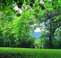 Misty Mountain Retreat - Accommodation Coffs Harbour