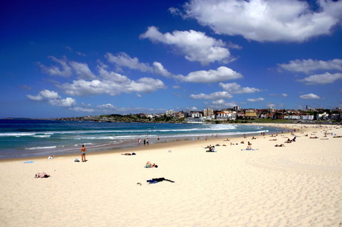 Wyndham Vacation Resorts Sydney - Accommodation Coffs Harbour 3
