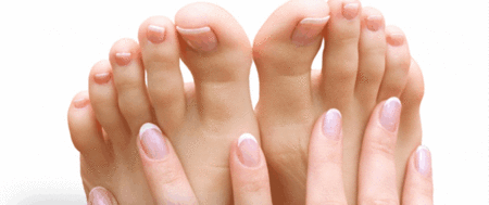 Ella Bache - Accommodation Coffs Harbour 1