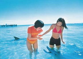  Accommodation Coffs Harbour
