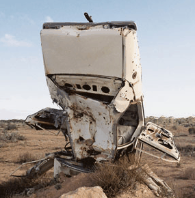 Anthony Riding Gallery - Accommodation Coffs Harbour 0