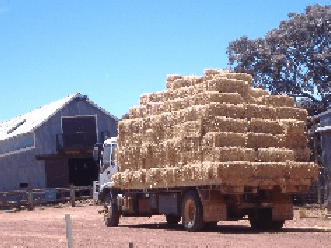Avondale Discovery Farm - Accommodation Coffs Harbour 1