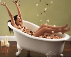 Toowong Village - Accommodation Coffs Harbour 0