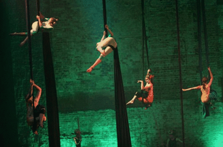 Flipside Circus - Accommodation Coffs Harbour 3
