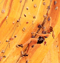 Rocksports Indoor Climbing - Accommodation Coffs Harbour