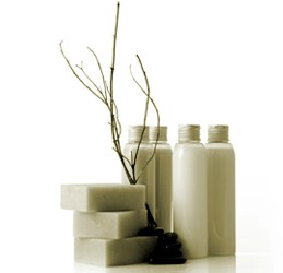 Brighton East VIC Accommodation Coffs Harbour