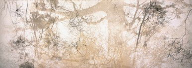 Dianne Tanzer Gallery & Projects - Accommodation Coffs Harbour 3