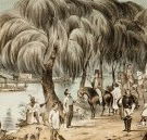 Joshua McClelland Print Room - Accommodation Coffs Harbour