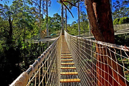 Gold Coast Hinterland QLD Accommodation Coffs Harbour