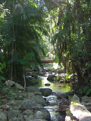 Thunderbird Park - Accommodation Coffs Harbour 2
